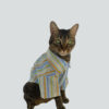Camisa - Vibes Shirt