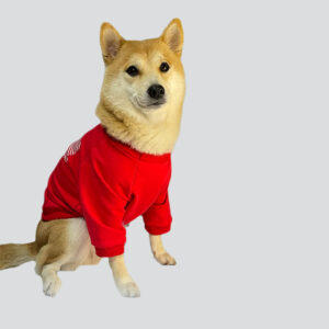 Camiseta Manga Larga - Christmas T-Shirt