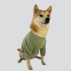 Camiseta manga larga - Shiba T-Shirt