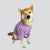 Camiseta manga larga - Shiba T-Shirt - Imagen 2
