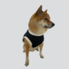 Camiseta sin Mangas - Mesh Tank Top - Imagen 2