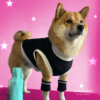Camiseta sin Mangas - Mesh Tank Top - Imagen 5