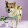 Camiseta sin Mangas - Pocket Tank Top - Imagen 5