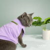 Camiseta sin Mangas - Pocket Tank Top - Imagen 5