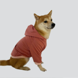 Saco con Capucha - Color Hoodie