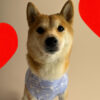 Camiseta sin mangas-cool tank top stripes heart - Imagen 5