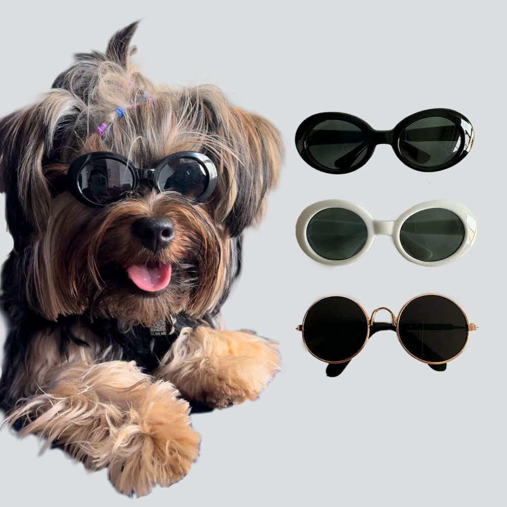 Gafas Mini perros o gatos