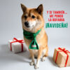 Bufanda Navideña-Tree Scarf - Imagen 4